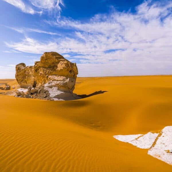 Postre Bahariya blanco delicioso con crema y fruta.