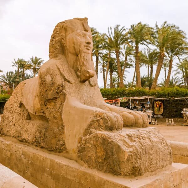 Estatuas de esfinge en la antigua ciudad de Menfis, Egipto.