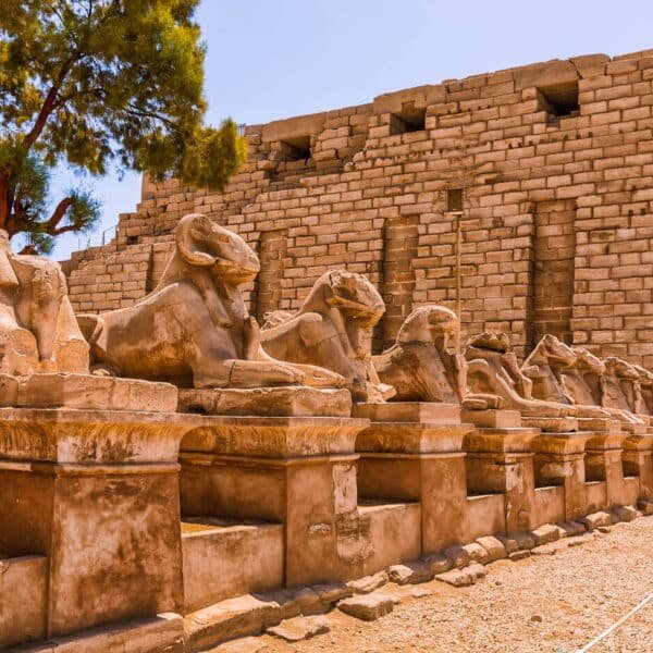 Estatuas artísticas hechas de ramas dispuestas de manera creativa.