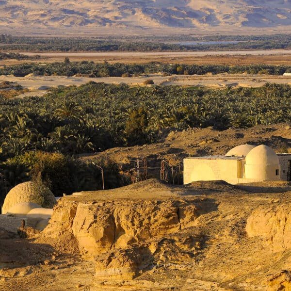 Oasis de Bahariya con vegetación exuberante y aguas serenas.