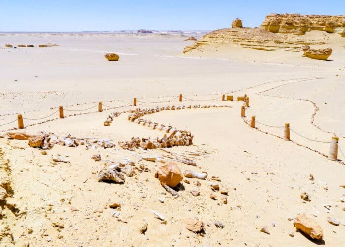 Valle de las Ballenas en Egipto, formaciones rocosas impresionantes en un paisaje desértico.