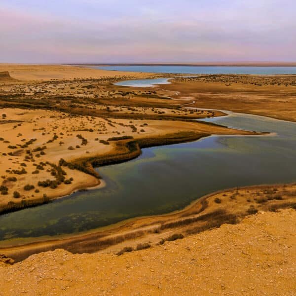 Oasis en Fayoum con vegetación exuberante y aguas tranquilas.