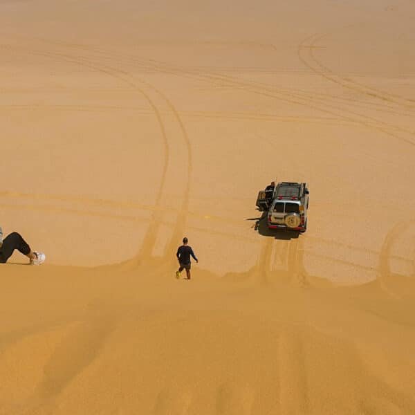Pareja disfrutando de un safari en jeep en la naturaleza